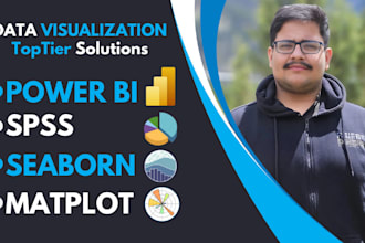 perform professional data analysis in spss, power bi, or python