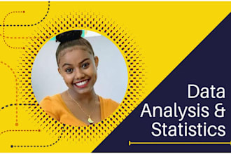 do statistical data analysis,r coding, stata, spss, excel, python programming