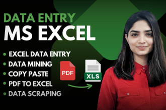 do excel data entry, pdf to excel, copy paste, data mining, web research