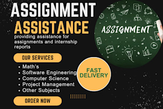 provide only assistance for assignments, internship reports
