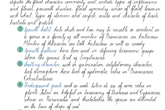 convert your typed notes and posts into classic cursive italic script