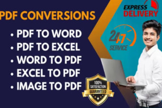 convert PDF to excel, PDF to word or data entry in 24 hours