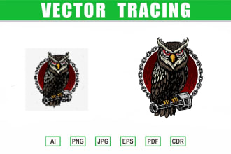 do vector tracing , redraw or sketch any image or logo