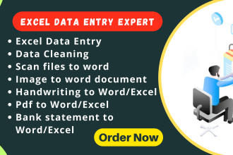 do fast and accurate data entry, pdf to excel, pdf to word and typing job
