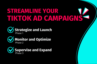 run and manage tiktok ads to amplify your brand visibility