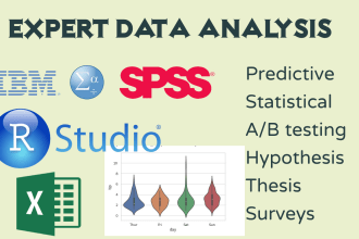 do spss, excel, rstudio statistical data analysis with report
