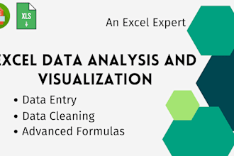 do excel data analysis and visualization