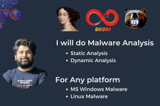 do malware sample analysis