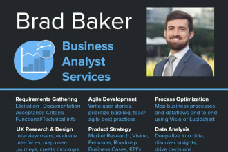 provide business analyst services