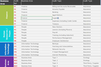 prepare internal audit universe, plan and program