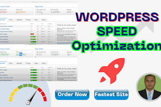 professional wordpress speed optimization to accelerate your website