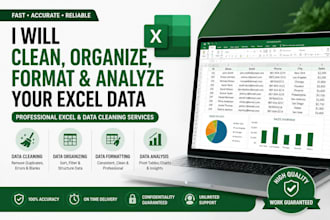 do excel data cleaning, formatting, sorting and data entry