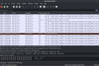analyze wireshark packet capture