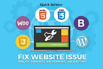 fix complex errors, bugs, and CSS, provide wordpress issues, and help