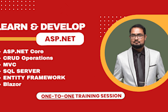 be your asp dot developer, asp dot net tutor, or asp dot net core trainer