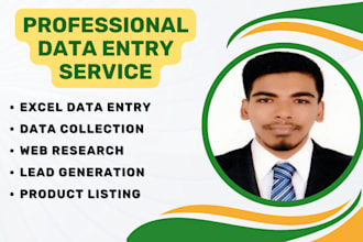 do accurate data entry,web research and excel data entry job