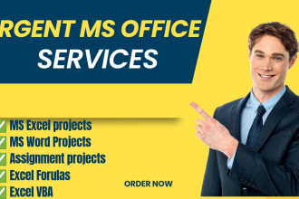 do urgent ms excel, ms word, powerpoint and assignment projects