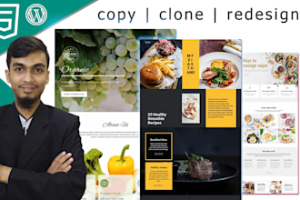 copy clone or redesign websites