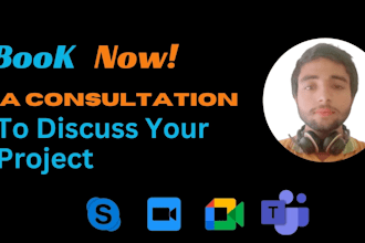 zoom, meets, skype consultation for web services