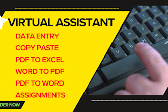 do a fast typing job, retype pages, pdf to word, fast typist