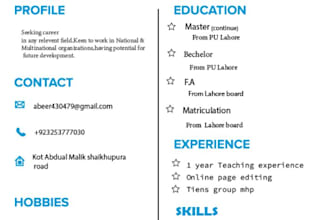 make professional resume design or modern CV layout