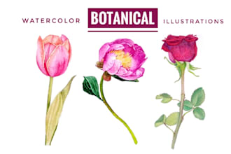 draw watercolor botanical illustration of flowers and plants