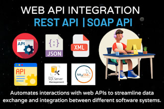 api integration rest soap web API integration services