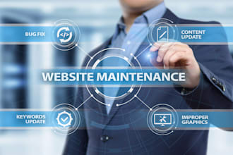 provide professional maintenance and support for your website