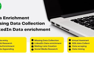 do data enrichment, web research and list building