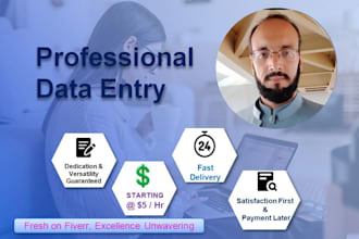 do efficient data entry and typing upto your satisfaction