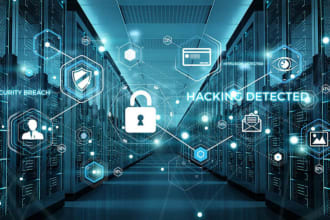 conduct penetration testing and vulnerability assessment
