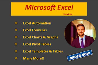 excel automation, excel formulas, charts and graphs and many more