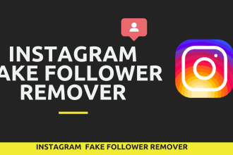 remove ghost fake bot followers from your instagram account safely