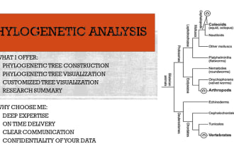 do phylogenetic analysis and related bioinformatics analysis