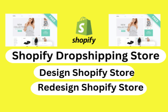 design shopify dropshipping store or shopify website customize shopify theme