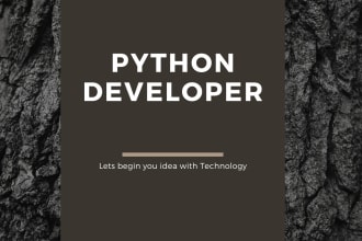 do your python projects, scripts and design your algorithms