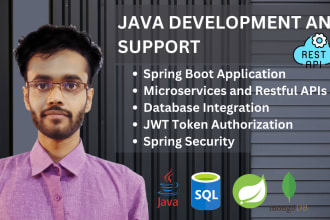 do java spring boot application with rest apis, spring security and databases