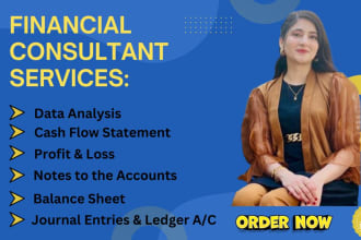 create p l balance sheet cash flow financial statement