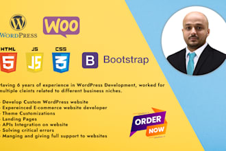 develop wordpress websites for your business