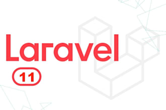 provide professional laravel website development