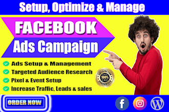 setup facebook ads campaign, instagram ads campaign, fb ads campaign