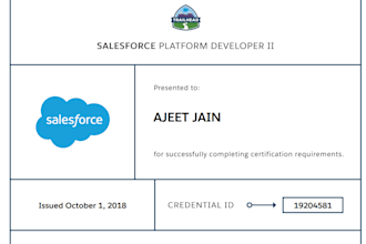 develop custom salesforce solutions for your business