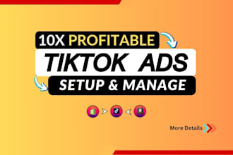 run tik tok ads, tik tok ads manager, tiktok marketing