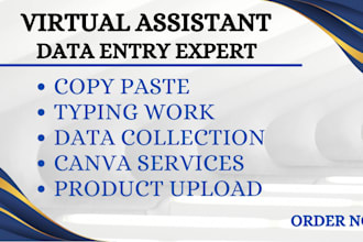 do data entry typing work,data collection and copy paste job