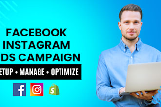 set up facebook and instagram ads campaign for sales