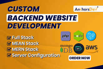 custom full stack backend web application developer node js website development