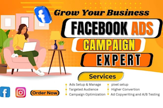 setup a profitable meta ads campaign with an expert fb and ig marketing strategy
