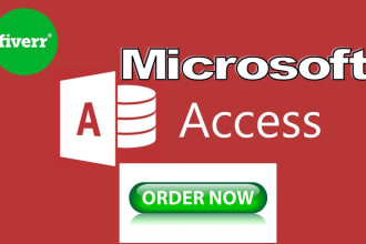 professionally do microsoft access projects