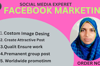 do organic facebook marketing, fb ads and promotion to your targeted audience