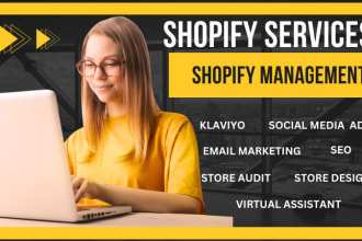 do shopify store security audit, performance optimization